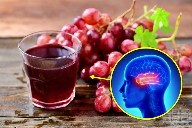 과일주스 종류 효능 포도주스 뇌기능 치매