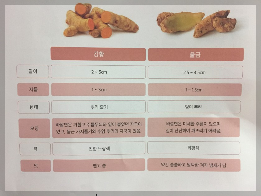 강황 울금 차이