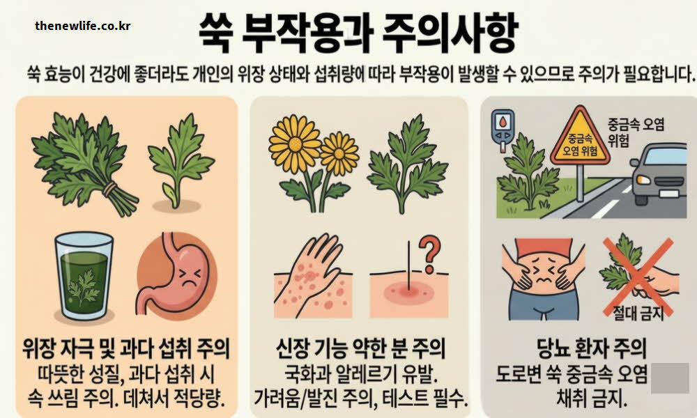쑥 효능 부작용