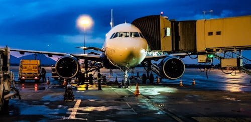 동해 김포공항 리무진 버스 노선 시간표 요금 예약 방법