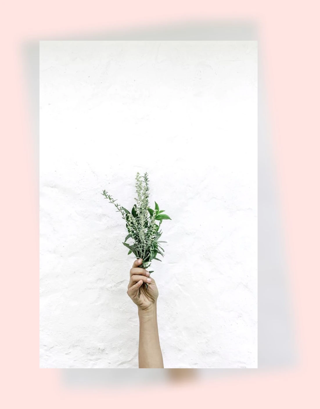 한방 다이어트_2_subsection