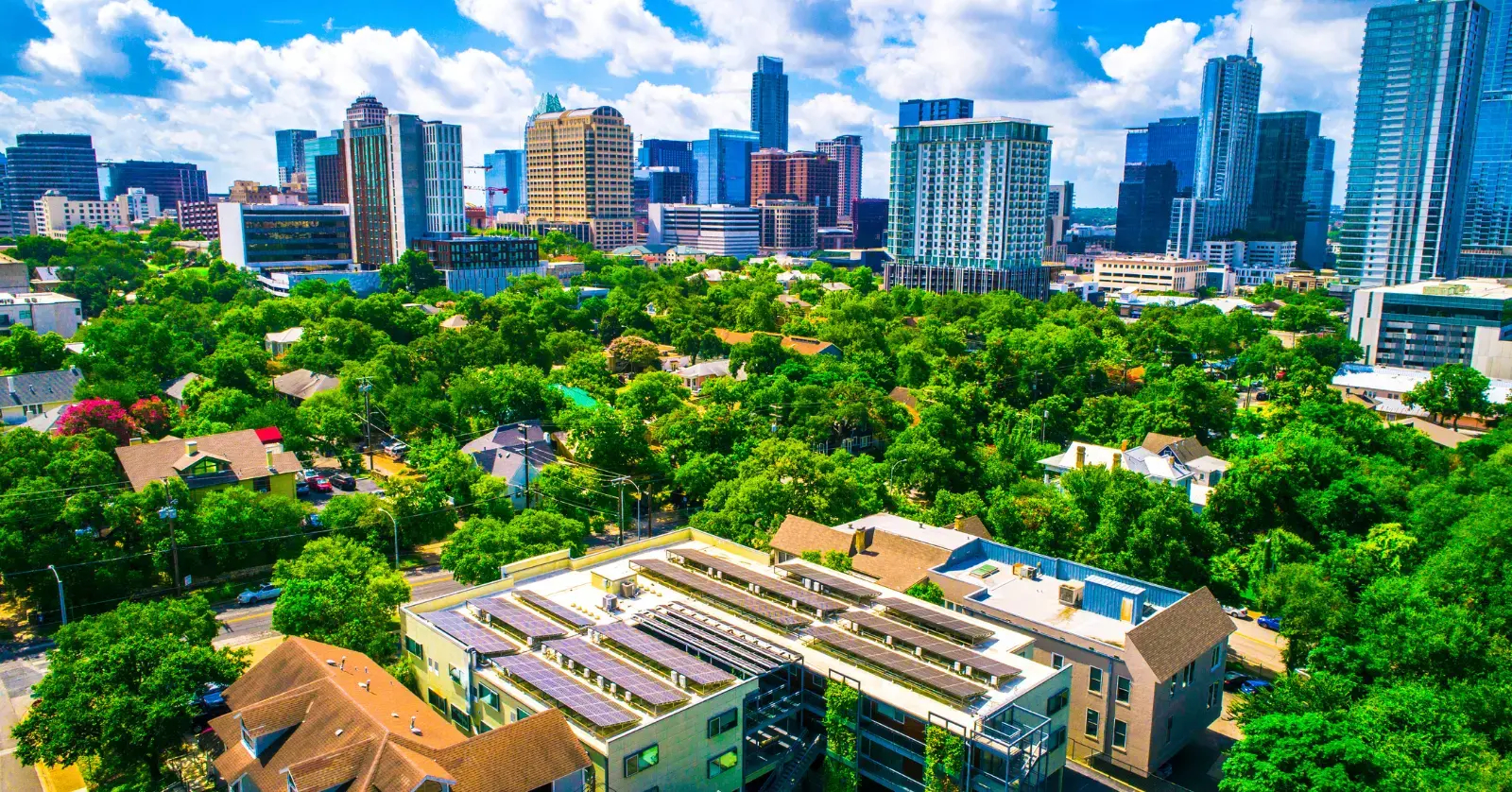 ESG 경영의 도입 절차: 어떻게 시작할까?