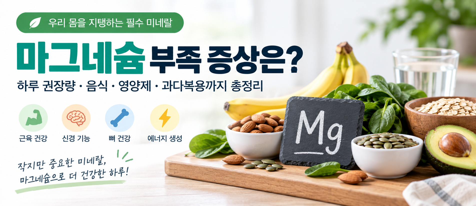 마그네슘 부족 증상 하루 권장량 음식 영양제 정리