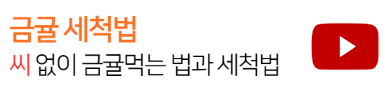 금귤세척법
