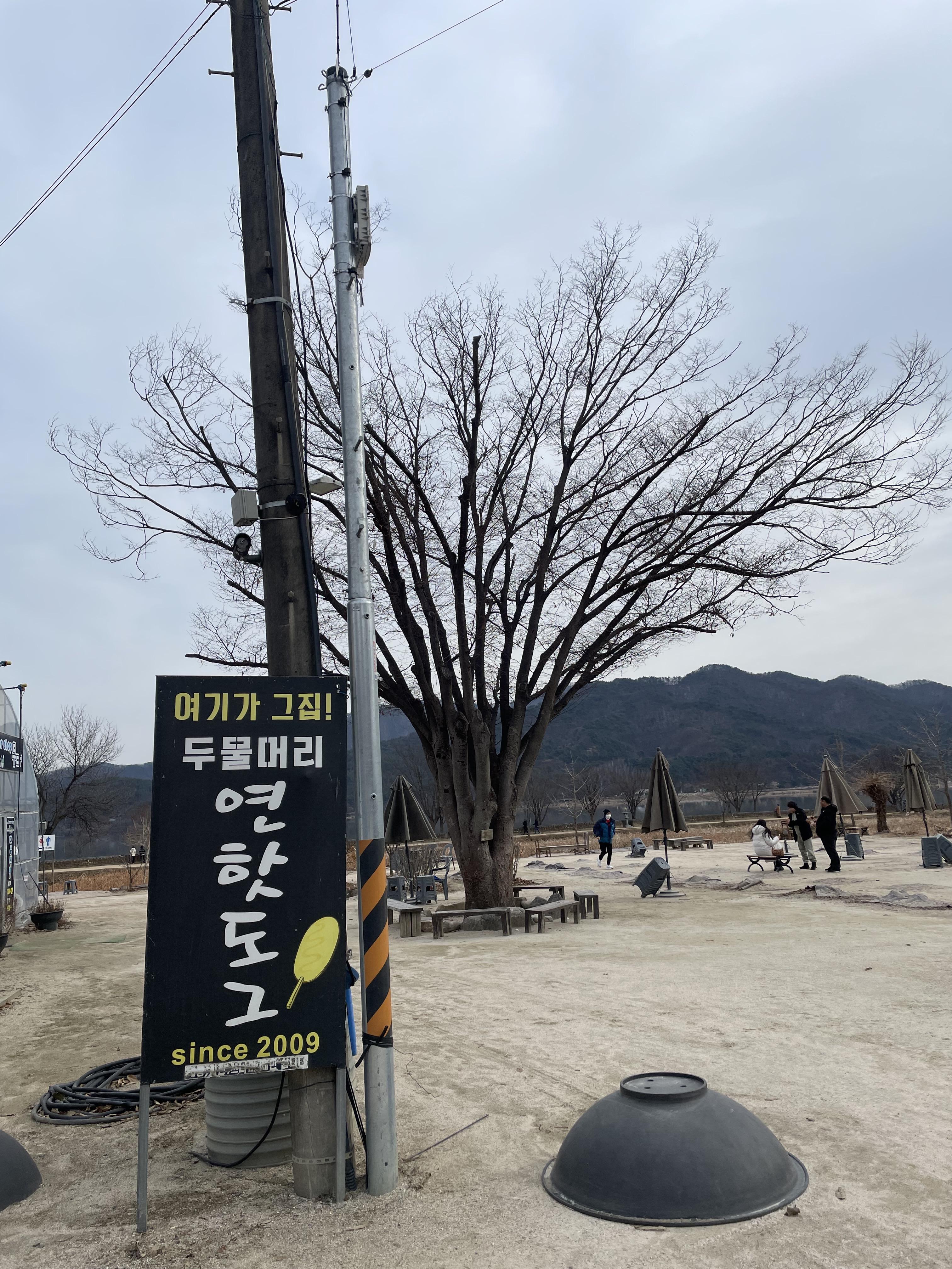 경기도-양평군-두물머리-연핫도그-입간판