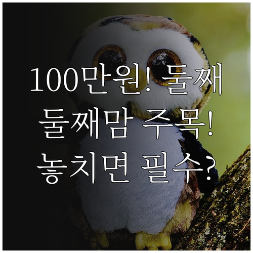 2025년 부산시 둘째아 100만원 ..