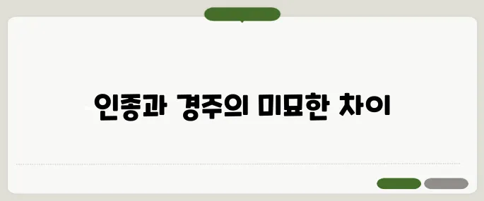 race 뜻과 인종·경주 상황별 해석