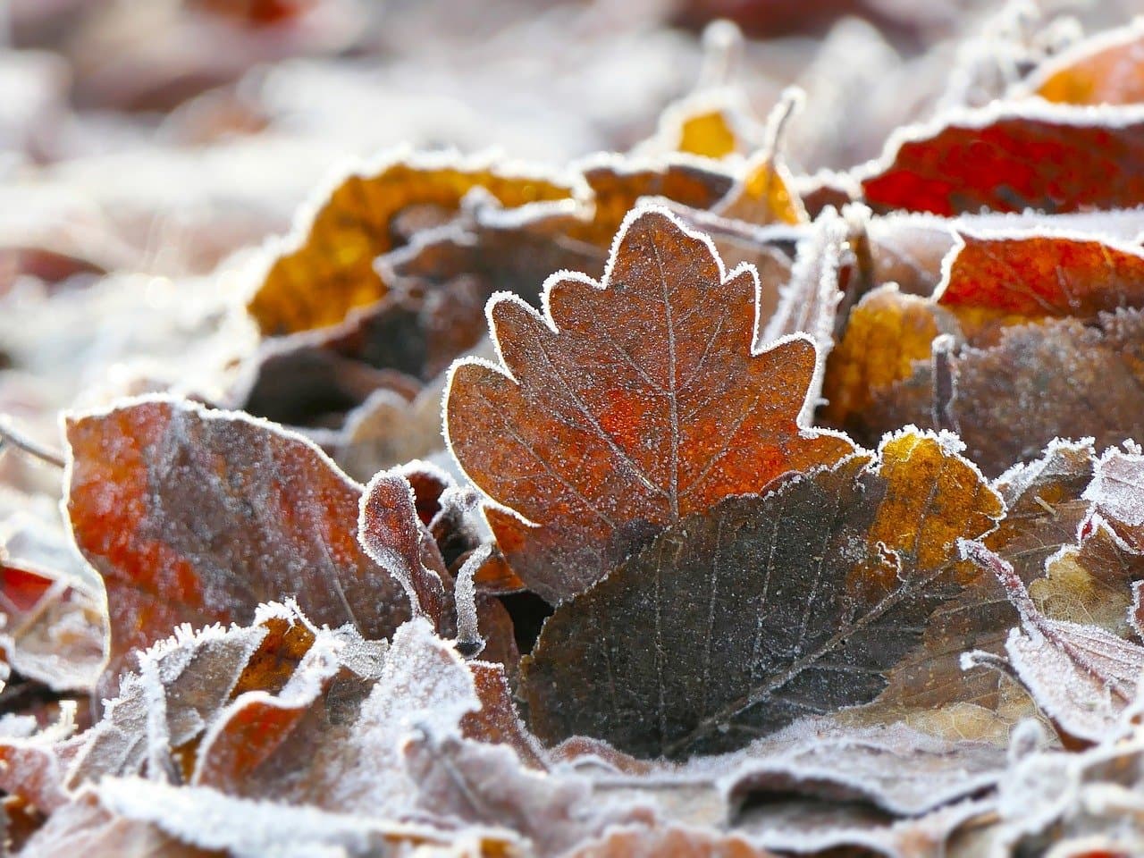직장 내 괴롭힘 법적 정의 완전 정리: 판단 기준과 단계별 대응 절차까지 한눈에 이해하기