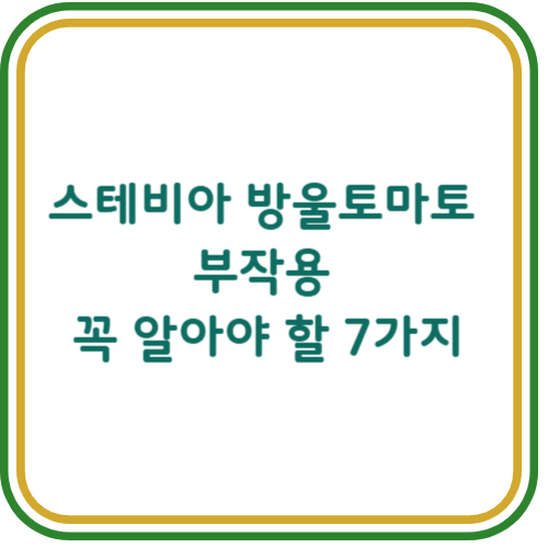 스테비아 방울 토마토 부작용