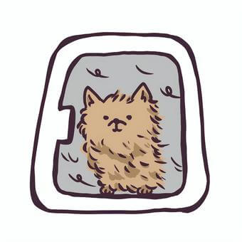 펫드라이룸추천 및 구매가이드