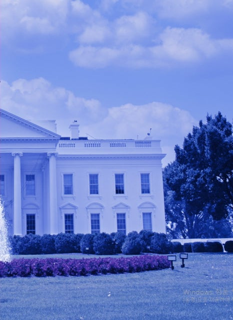 2024 미국 대선 개표방송