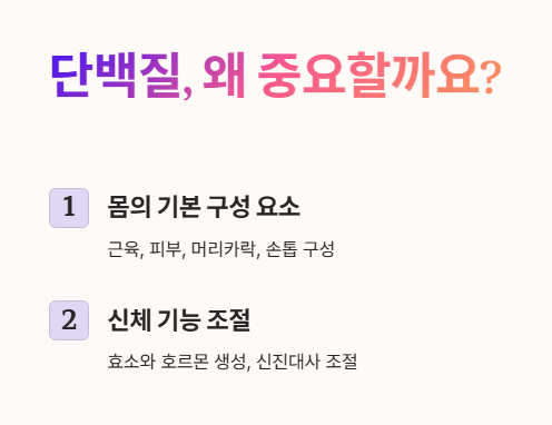 단백질 중요성 : 몸의 기본 구성요소&amp;#44; 신체 기능 조절