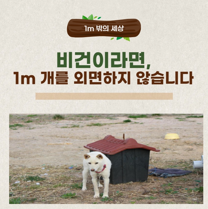 비건 실천자라면 마주해야 할 거리: 1m 줄 끝의 생명