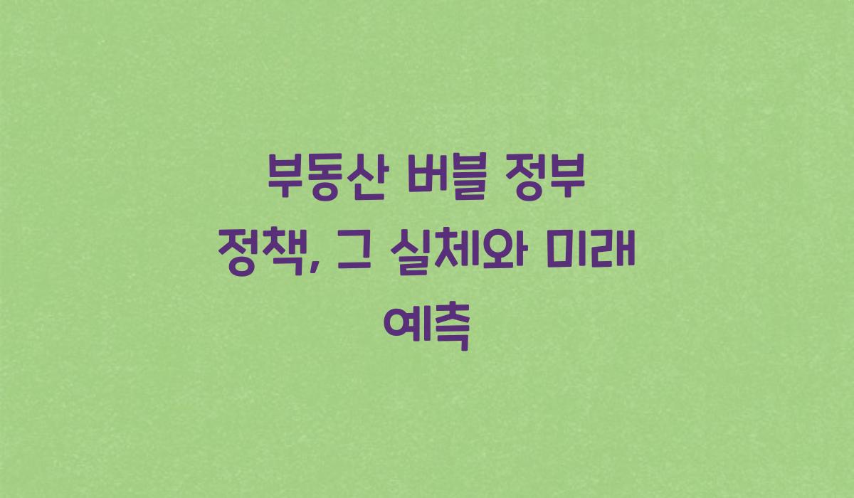 부동산 버블 정부 정책