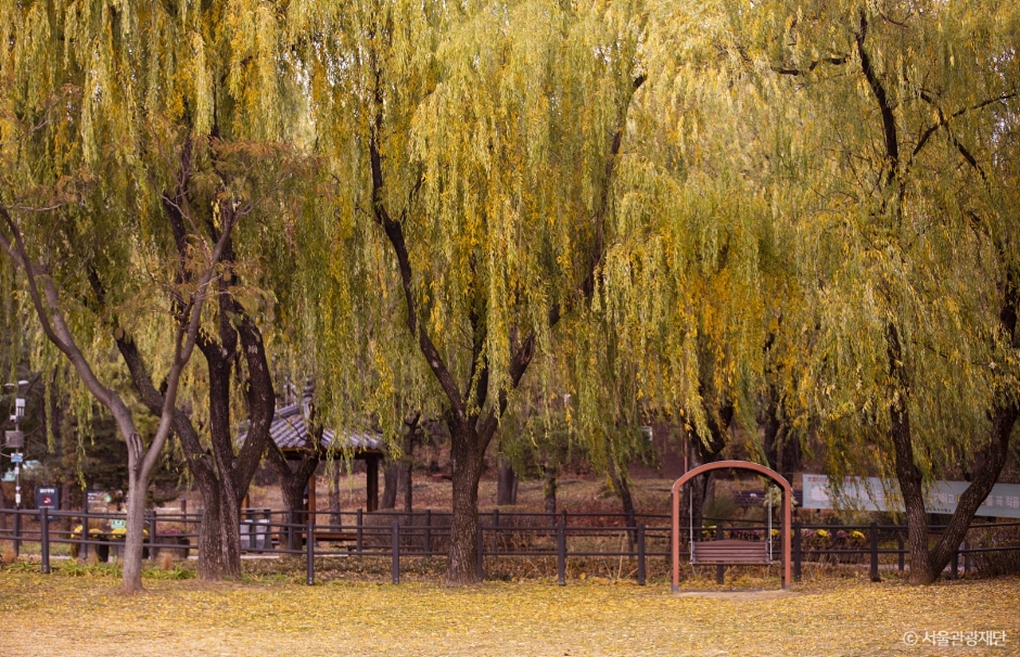 2024 가을 여행지 단풍 명소 추천