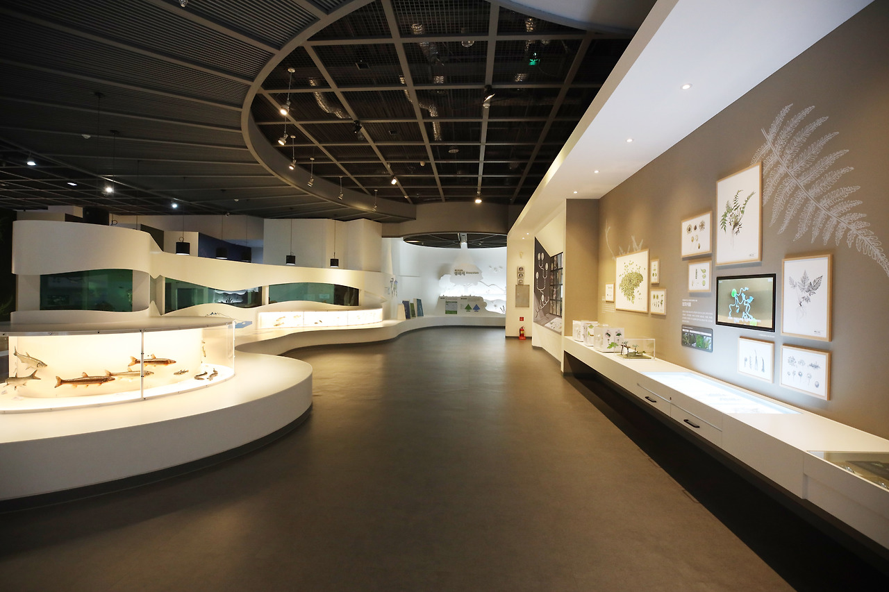 서울 박물관 서대문자연사박물관