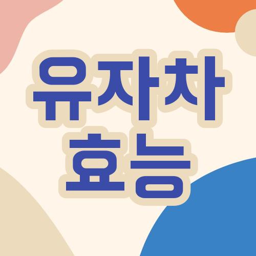 유자차 효능