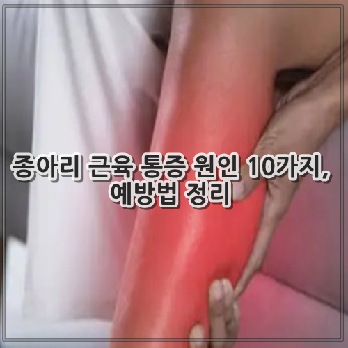 종아리 근육 통증 원인 10가지, 예방법 정리