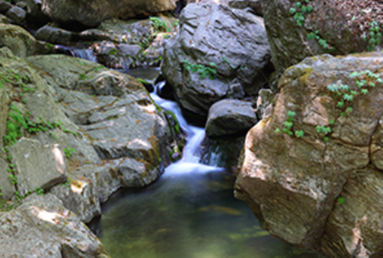 가평 가볼만한곳