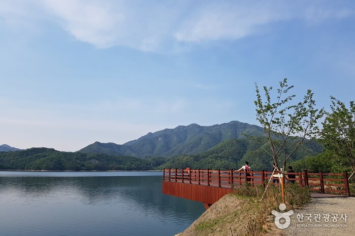 횡성호수길축제 2026