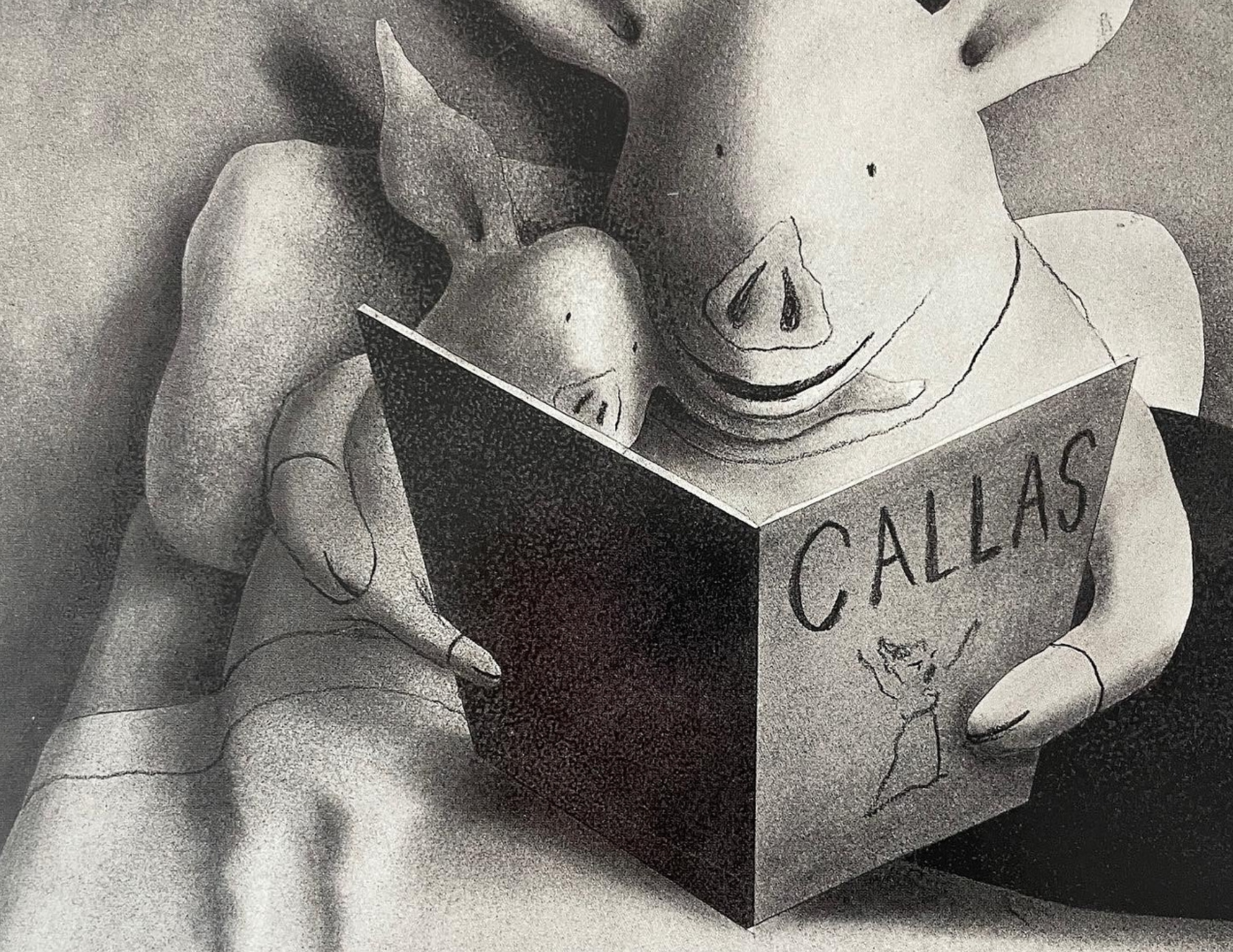 책읽기싫어하는초등생을위한공감독서법