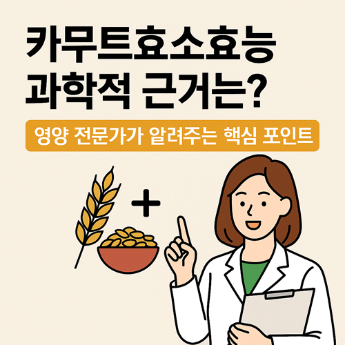 카무트효소효능 과학적 근거는? 영양 전문가가 알려주는 핵심 포인트