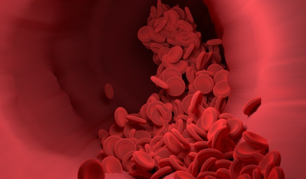 병원 실무 의학용어 검사관련 용어