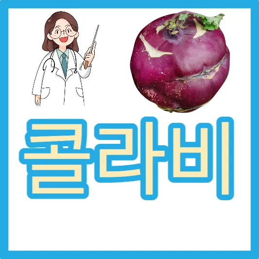 콜라비 먹는법 보관방법 콜라비 효능 효과 콜라비 무 비교