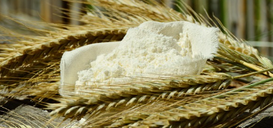 영양가 높은 밀기울