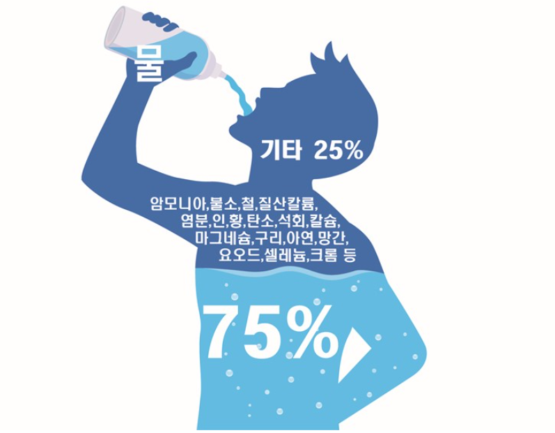 물섭취 권장량의 중요성