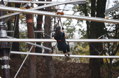 2025 강원도 동해 아이와 함께 가볼만한곳, 무릉별유천지, 라벤더 축제 총정리