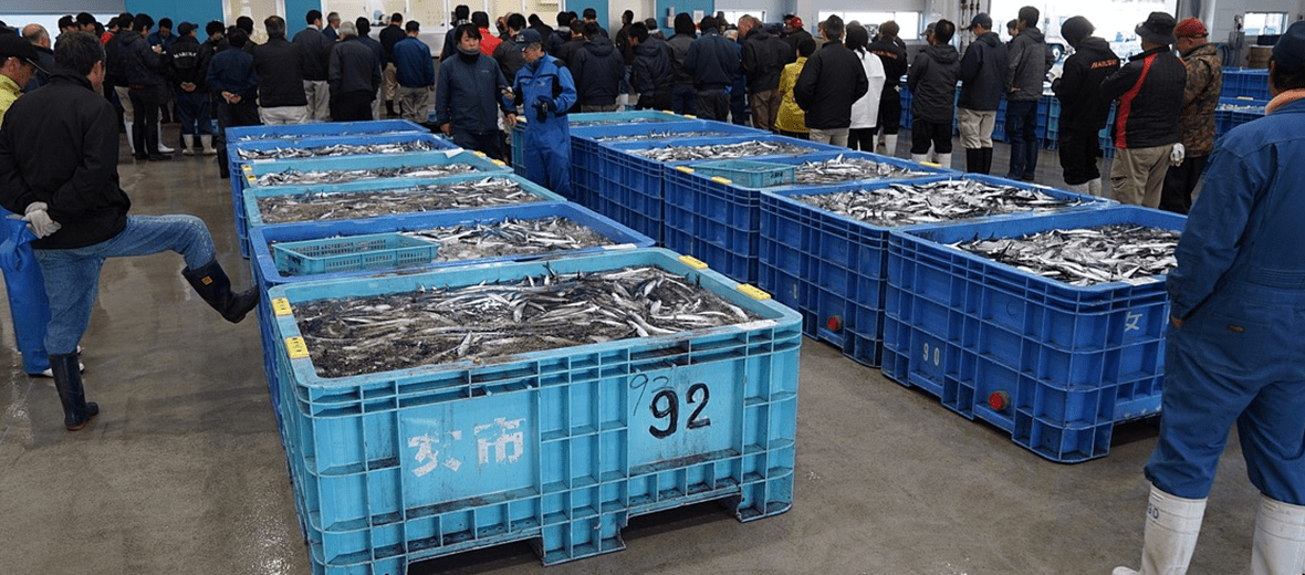 폐렴에 좋은 음식과 관련 있는 사진 - 1