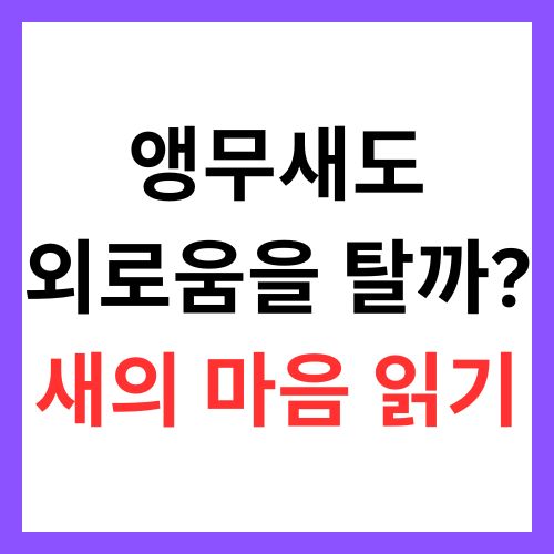 🦜 앵무새도 외로움을 탈까? – 혼자 남겨진 새의 마음 읽기