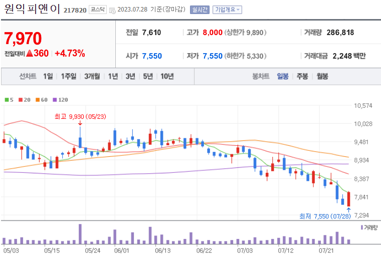 원익피앤이_217820