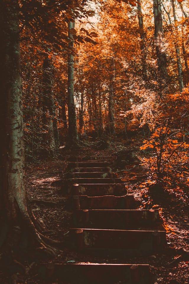 가을 단풍 명산 추천 10선