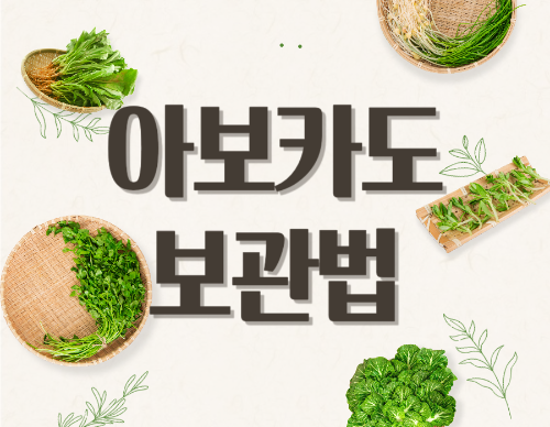 아보카도 보관법 여러가지 총정리