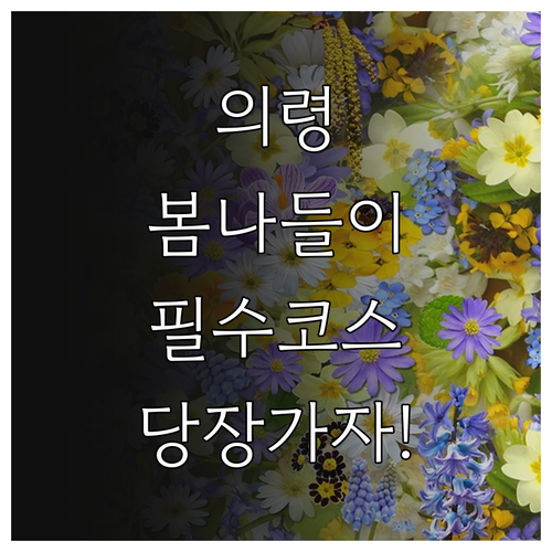 경남 의령 봄 나들이 추천 명소와 맛..