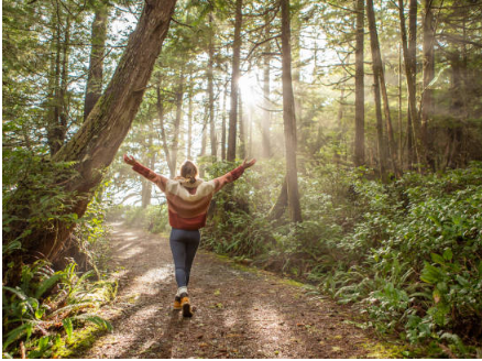 산림복지서비스이용권