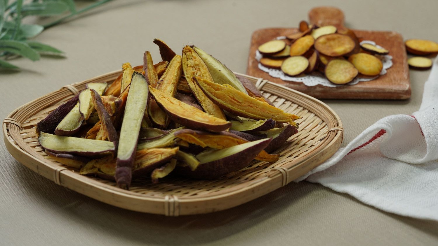 식품건조기 고르는법 고구마 말랭이 완성 보관