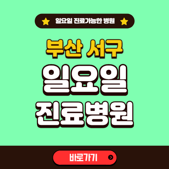 부산 서구 일요일 진료 가능한 병원 ❘ 주말 문여는 곳 총정리 (소아과, 내과, 안과, 치과, 피부과, 정형외과, 산부인과)