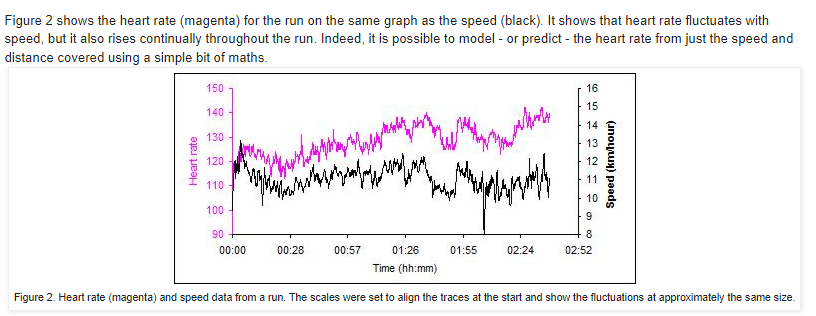 심박수올리는 법 논문