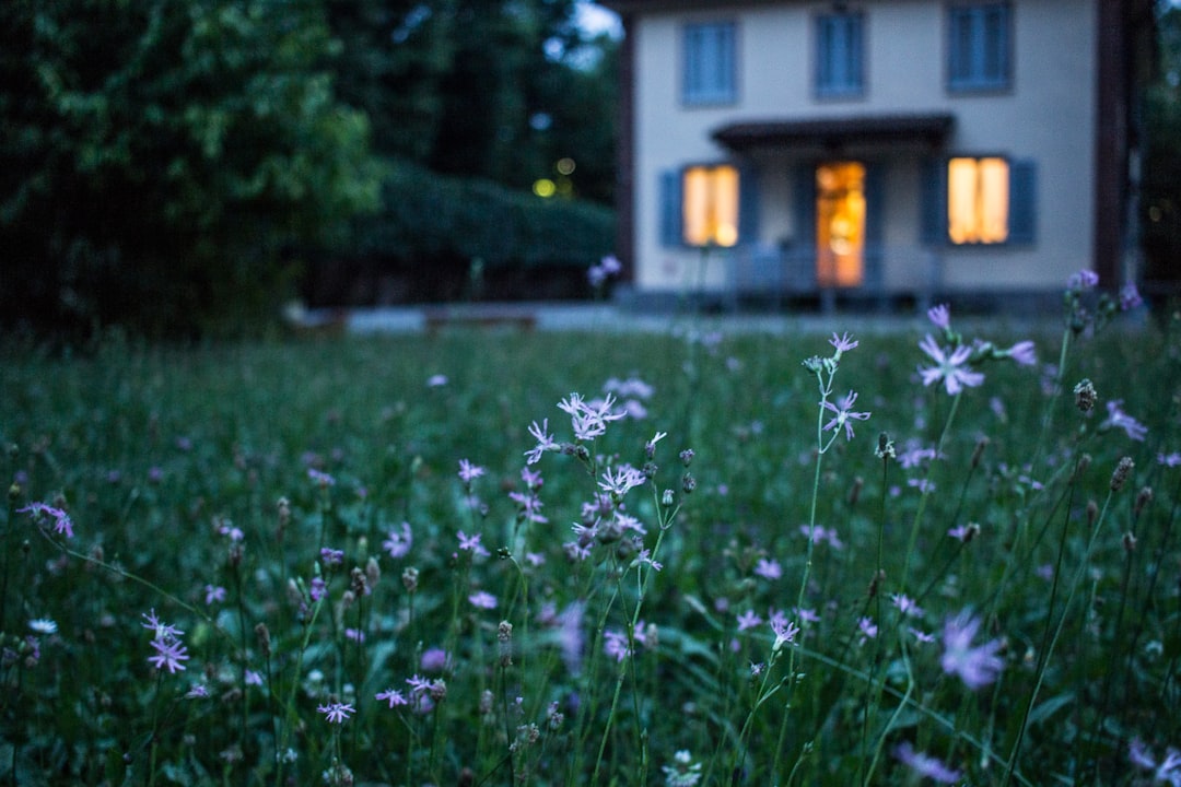 Home