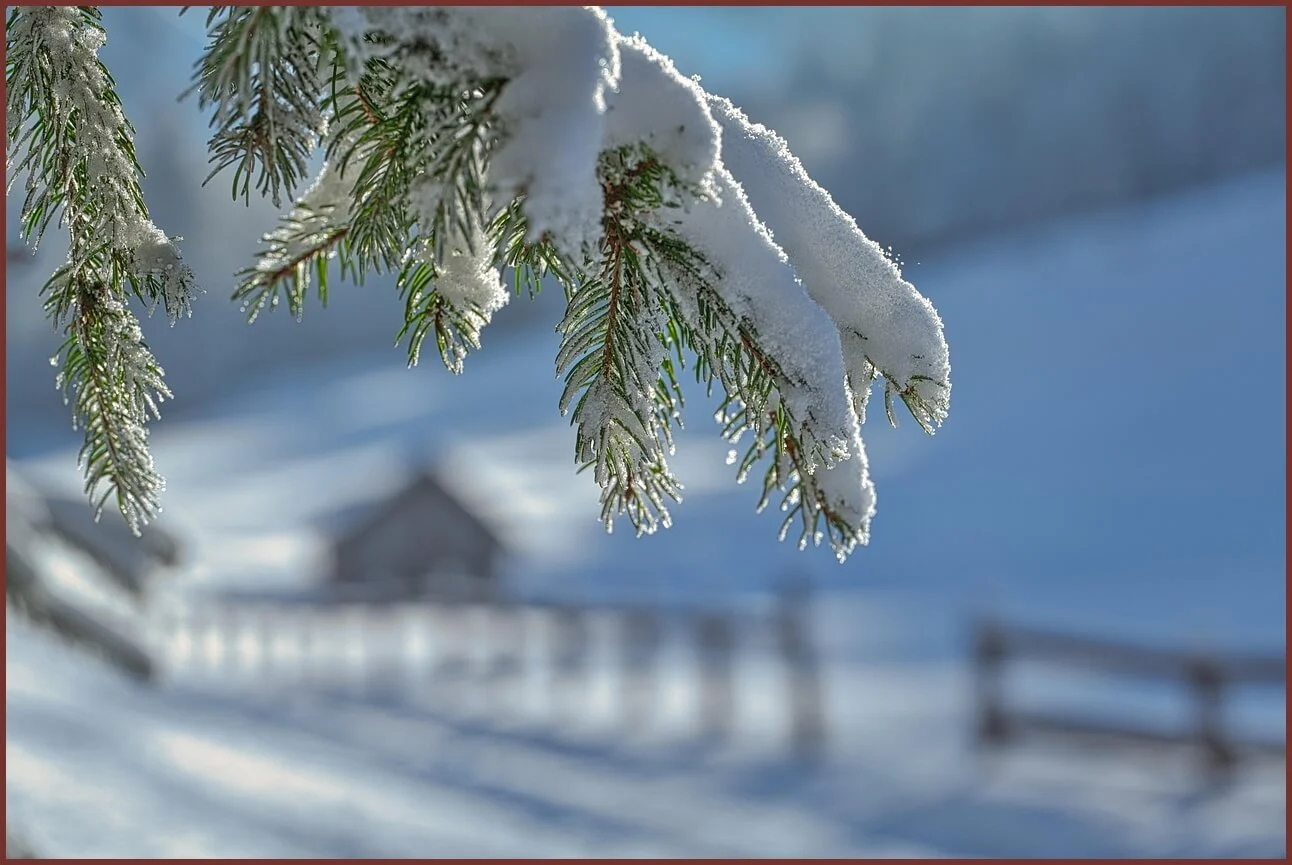 적금 금리 높은곳