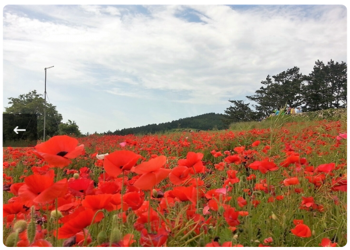 기차여행 1박2일 여행지 추천