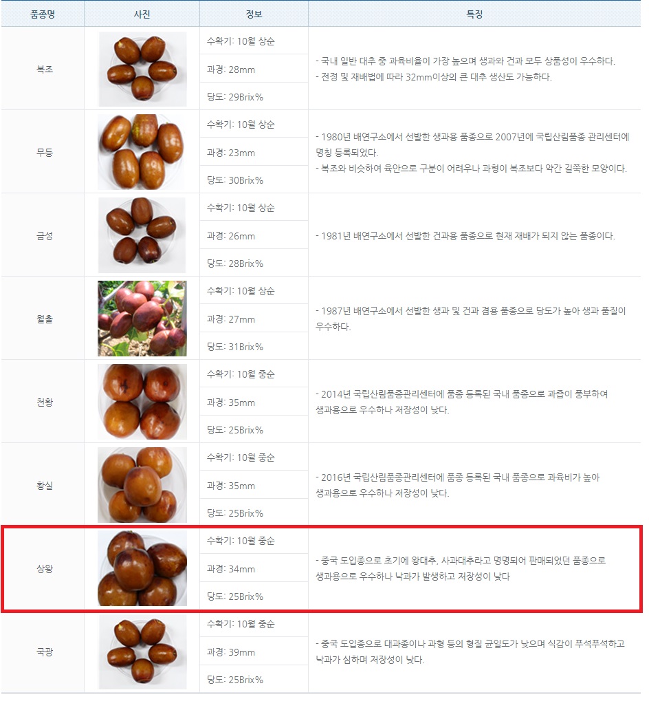 대추 품목 설명