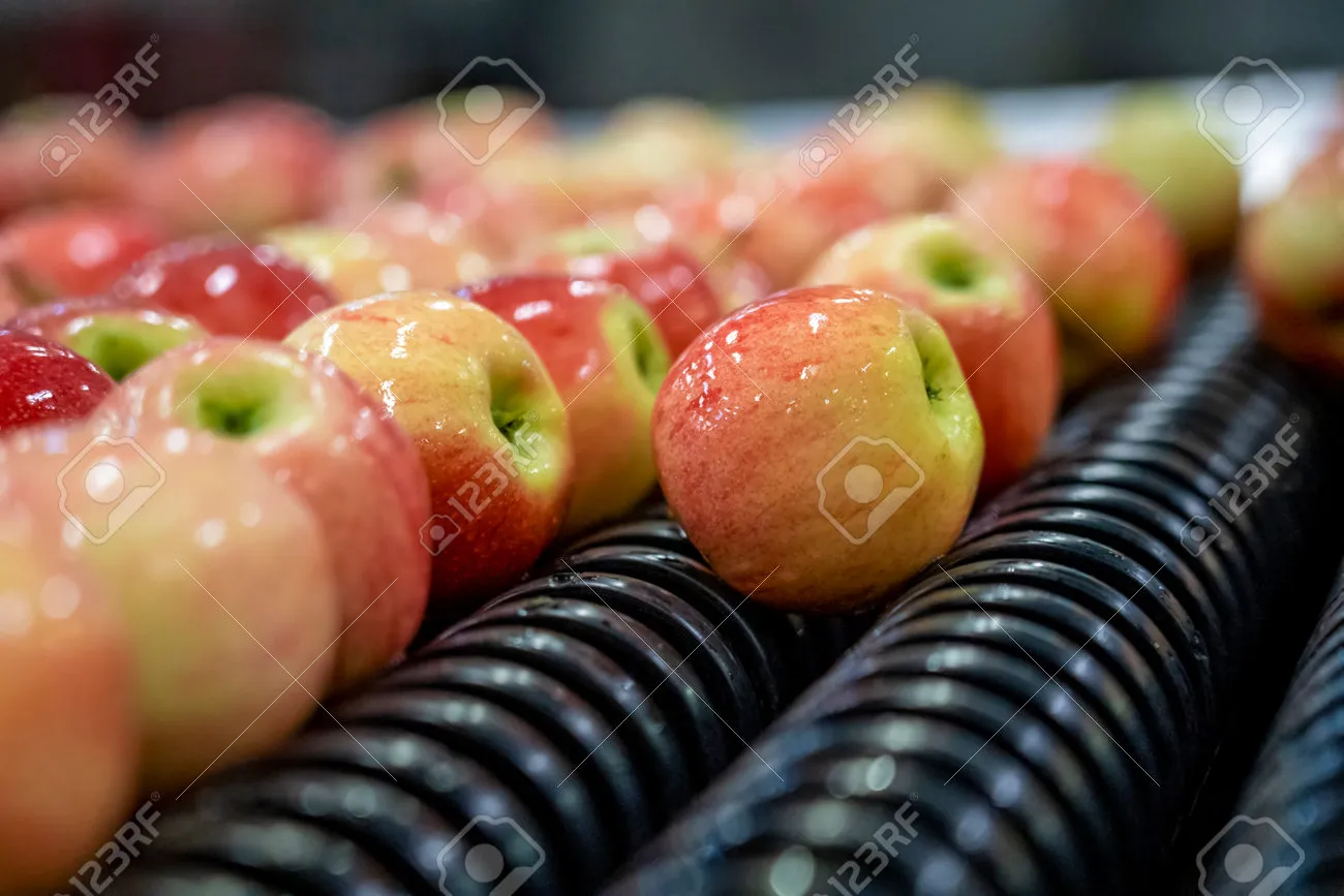 수확 후 처리 세척 건조 예냉 저장 온도 습도 관리_9