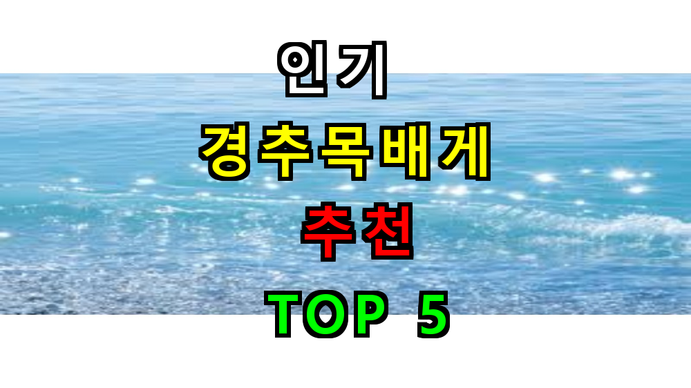 경추 목베개 추천 브랜드 특징 분석