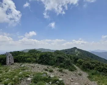 태백산 국립공원 실시간 cctv_23