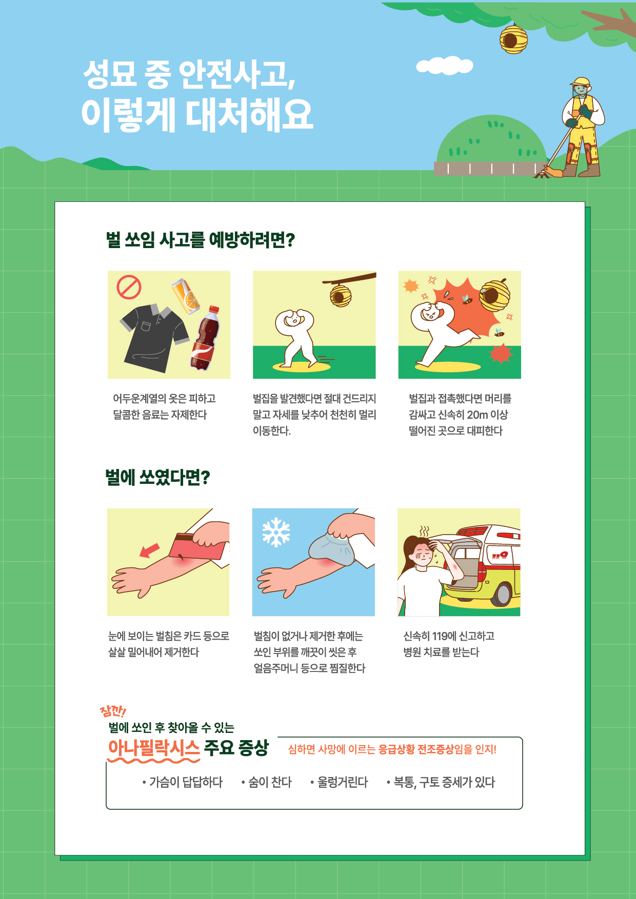 벌초성묘안전유의사항 아낙필라시스 주요증상