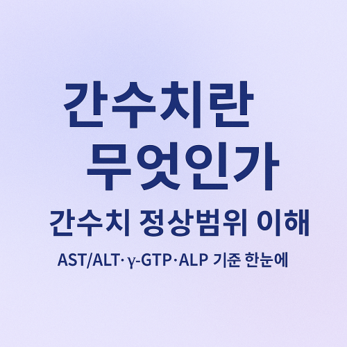 간수치란 무엇인가와 간수치 정상범위 이해